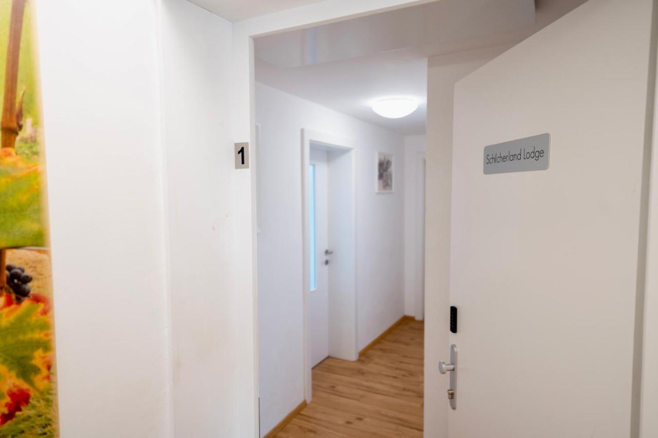 Schilcherland Lodge Greisdorf Экстерьер фото